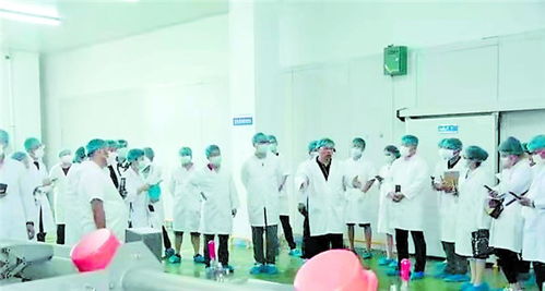学生配餐产品不达规范 坚决立即叫停
