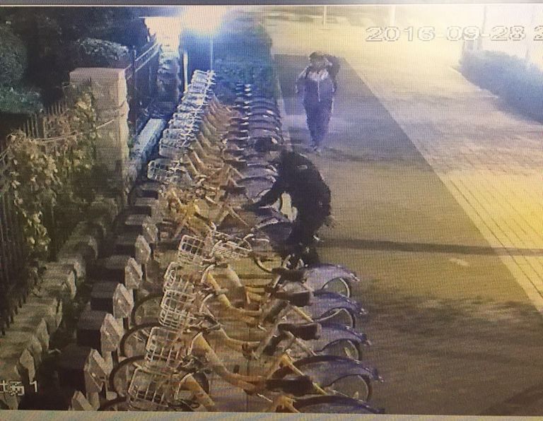 首页| 尊龙集团中国官方网站