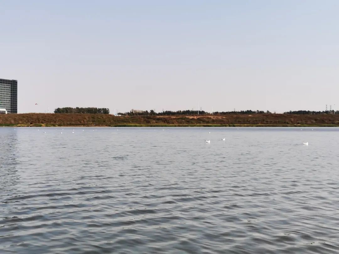 首页| 尊龙集团中国官方网站